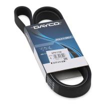 Dayco 6PK1736 - CORREA TRAPECIAL POLI V