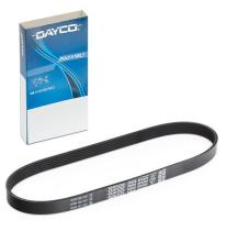 Dayco 6PK825 - CORREA TRAPECIAL POLI V