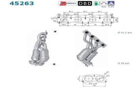 As 45263 - CATALIZADOR